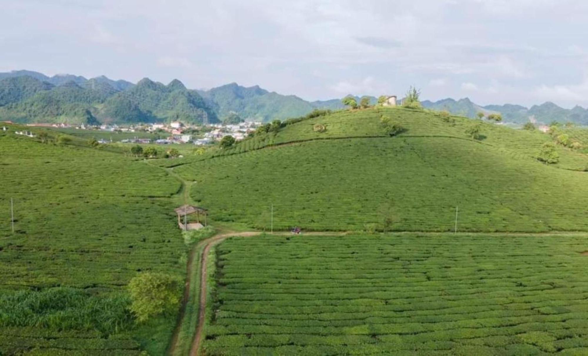 Doi Che Hotel Moc Chau Exteriér fotografie